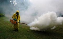 Dengue: Facultad de Ciencias advirtió sobre inminente epidemia