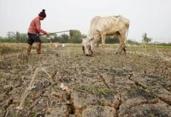 Cambio climático: científicos temen final catastrófico