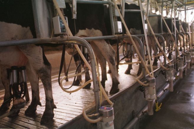 Gobierno habilitó crédito a lácteas afectadas por la deuda venezolana