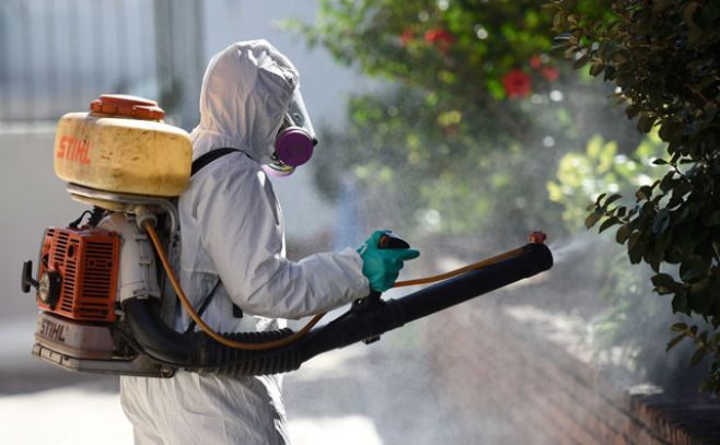 Pocitos en la mira: confirman cuarto caso de dengue autóctono. Nicolas Celaya/Adhocfotos