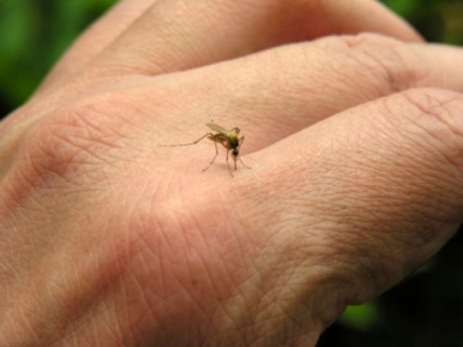 Amiga de mujer con dengue denunció demora en diagnóstico