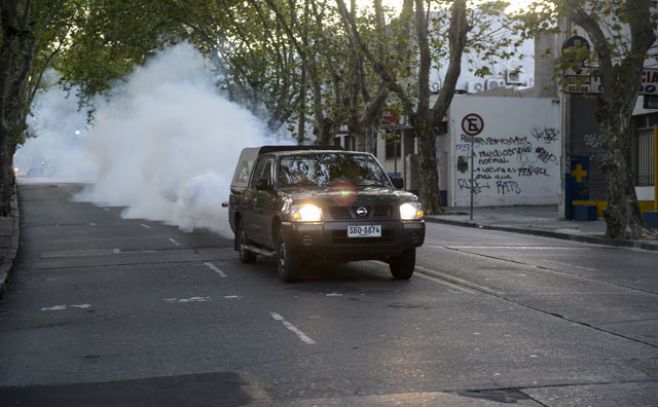 Así fue la primera fumigación masiva en Montevideo. Santiago Mazzarovich/Adhocfotos