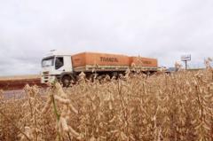 Transportistas bajan tarifas para zafra agrícola