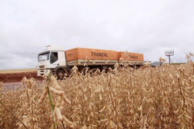 Transportistas bajan tarifas para zafra agrícola