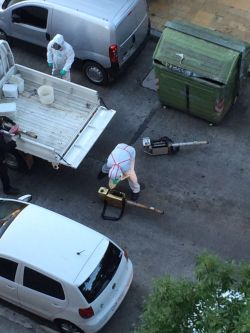 Intendencia fumiga nuevamente zona de barrio Pocitos. Espectador.com