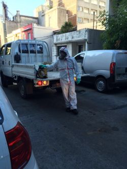 Intendencia fumiga nuevamente zona de barrio Pocitos. Espectador.com