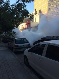 Intendencia fumiga nuevamente zona de barrio Pocitos. Espectador.com