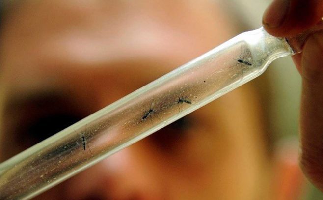 Confirmado el primer caso de dengue autóctono en Uruguay