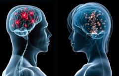 Los dos cerebros: ¿Cómo piensan mujeres y hombres?