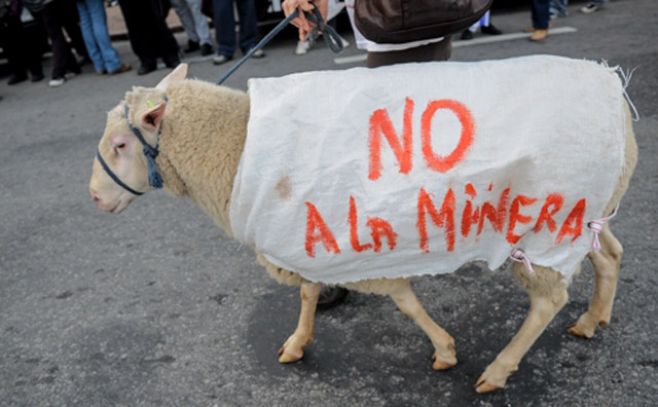Oveja cubierta con una proclama contra la megaminera en una marcha.. Santiago Mazzarovich/Adhoc fotos