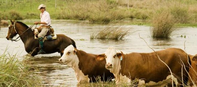 Haciendas: "entre el clima y la industria"