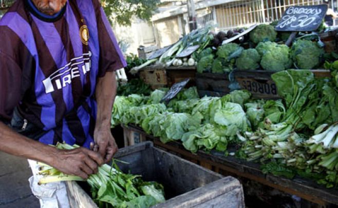 La lechuga cuesta el triple que antes de las tormentas