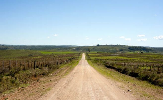 OPP otorgó $360 millones para reconstruir la caminería rural