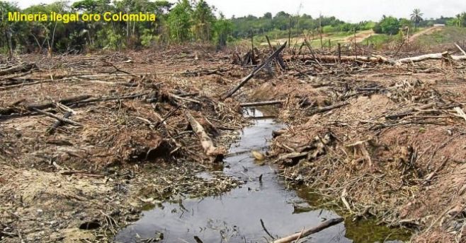 Oro ilegal Colombia