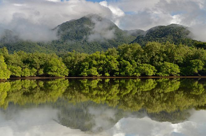 Reserva de Mata Atlntica del Sureste, Brasil. http://noticias.masverdedigital.com/