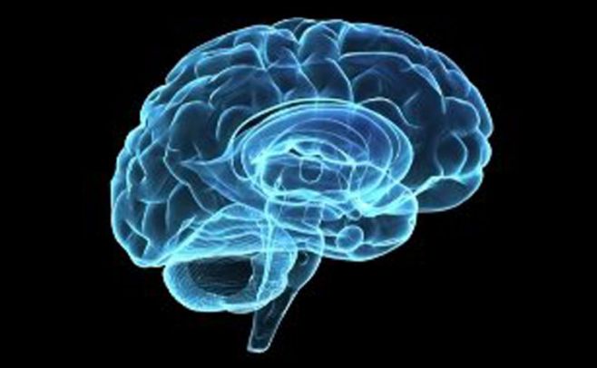 Así es cómo el cerebro ordena los recuerdos cronológicamente