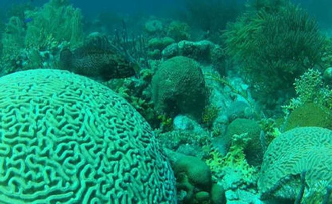 Expedición buscará indicios de vida en el subsuelo marino