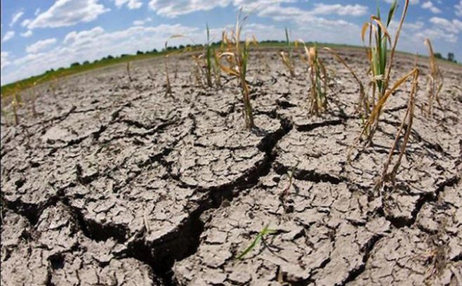 La temperatura global podría aumentar hasta 7 grados