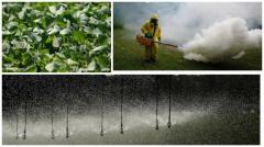 GlifosaNto: nuevos datos de la OMS sobre el herbicida y la salud