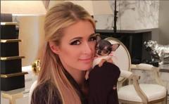 Paris Hilton gastó una fortuna en su nueva mascota