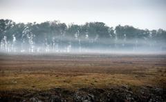 Descubren nuevos modos de predecir cambios climáticos