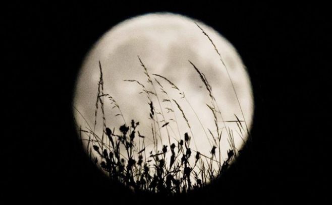 Anuncian una superluna para el 14 de noviembre