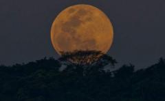 La Luna se verá hoy un 7% mayor a lo habitual