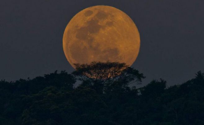 La Luna se verá hoy un 7% mayor a lo habitual