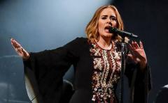 Adele para su concierto por culpa de un murciélago