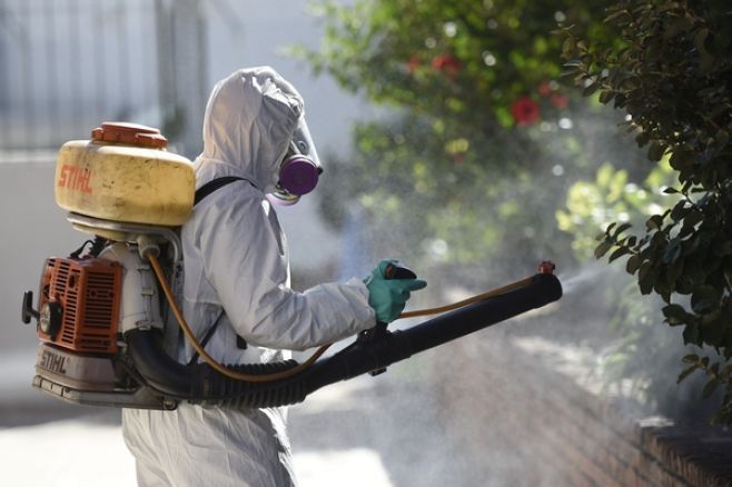 Mosquito que causa el zika llega a Uruguay por cambio climático