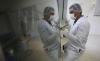 Presencia de zika en suero indica infección del feto