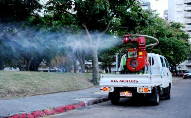 Uruguay se prepara para enfrentar al mosquito Aedes Aegipty