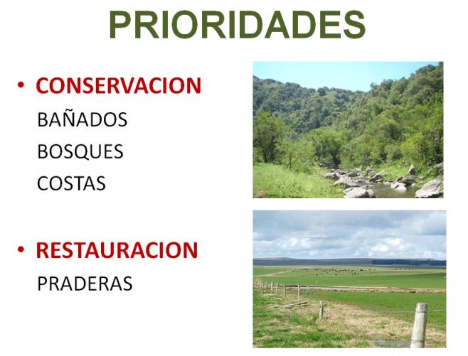 Luces y sombras de la Estrategia de conservación de la biodiversidad