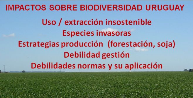 Luces y sombras de la Estrategia de conservación de la biodiversidad