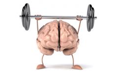 Continuamos conociendo y entrenando el cerebro