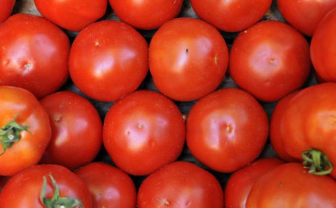 ¿Por qué los tomates ya no saben a nada?