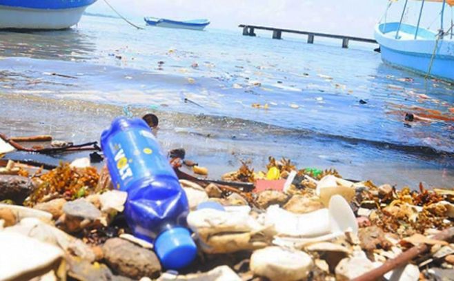 Uruguay lidera lucha contra la basura marina en A. Latina