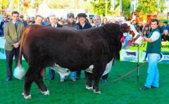 Cabaña Las Anitas con "clásico de verano"