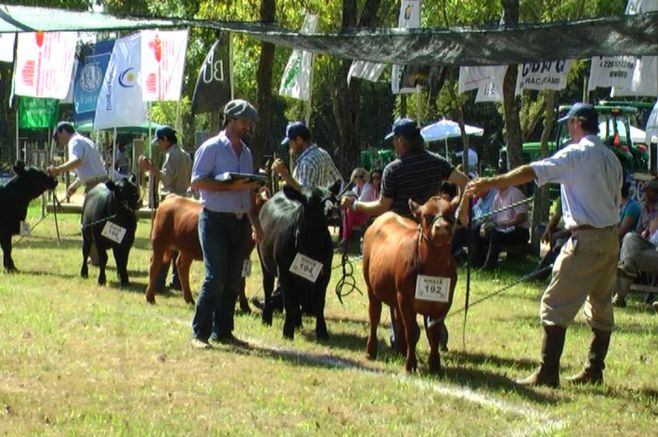 Expo Durazno con inscripciones record