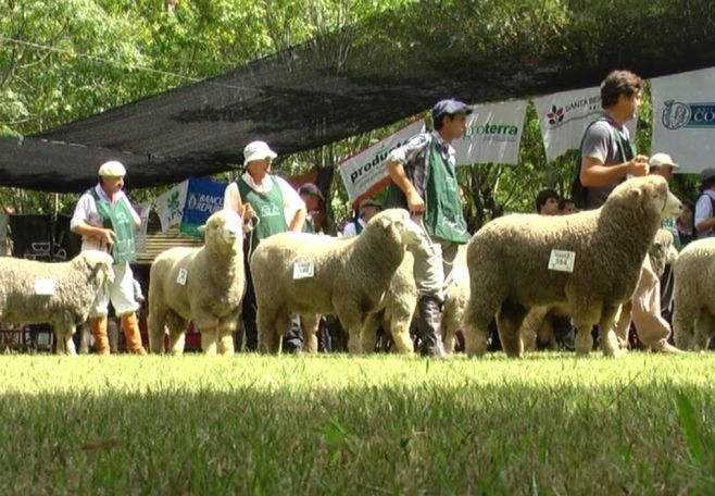 Expo Durazno con inscripciones record