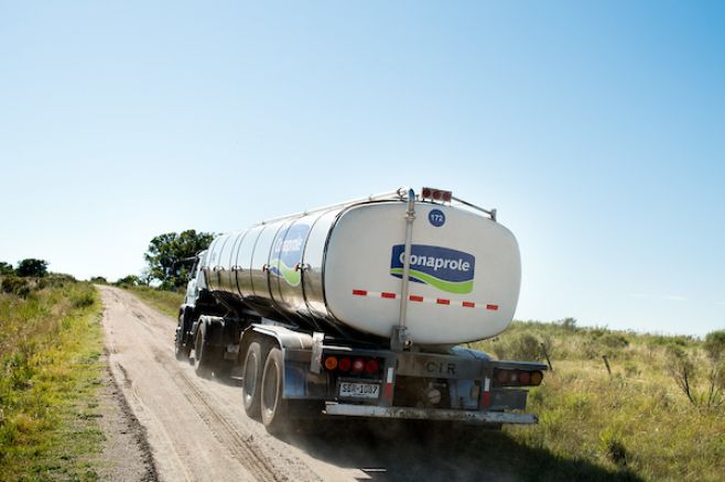 CONAPROLE: aumentó precio de la leche, pero Fonterra bajó