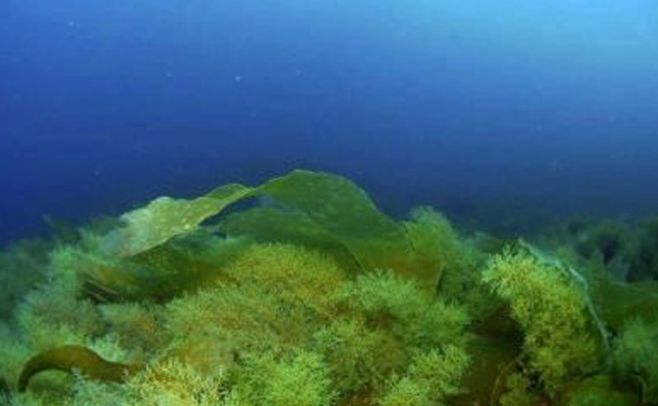 El submarino capaz de descender a lo más profundo del océano