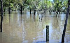 Travesía en el Río Cuareim casi termina en tragedia