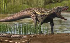 Descubren huellas de reptil antecesor de los dinosaurios