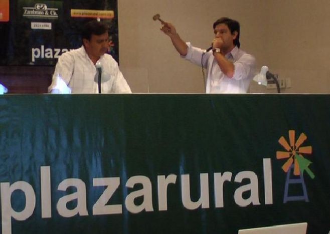 Plazarural: Con mercado fluido, comercializó casi el 100% de los más de 20 mil vacunos