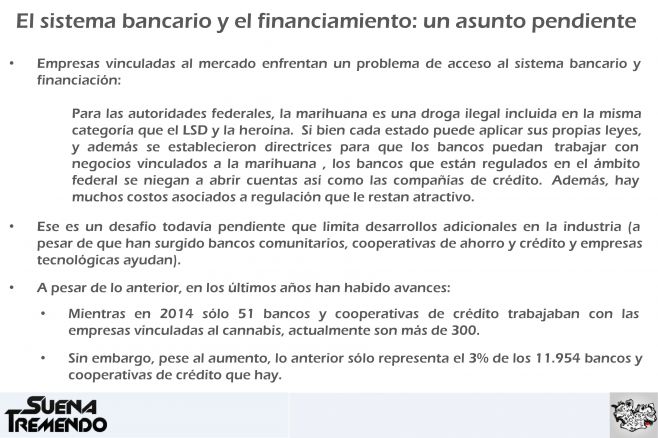 ¿Cómo es el mercado de la marihuana legal en EEUU?