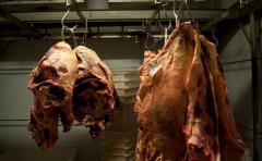 Exportaciones de carne aumentaron 15% en lo que va del año