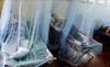 Al menos 26 muertos y 8.481 casos confirmados de dengue en Perú