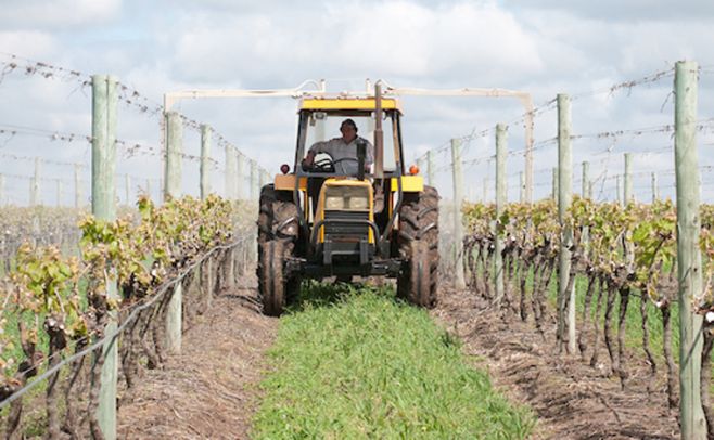 Análisis sobre la tributación de las rentas agropecuarias