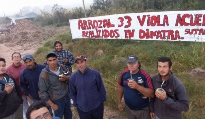 Arroceros buscan formar sindicato único para reclamar por represión sindical